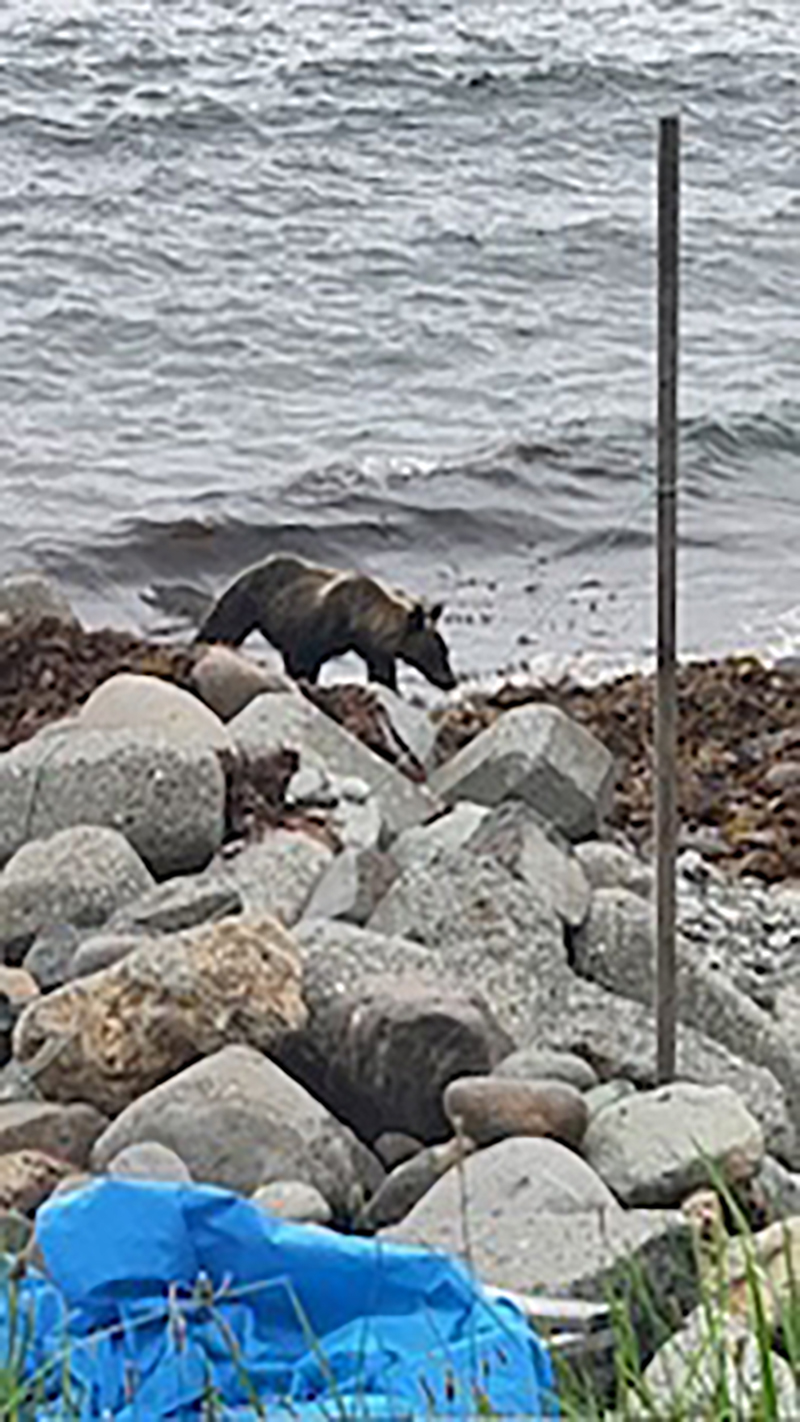 2023年度 北海道版 ガチャピンズラリー達成者