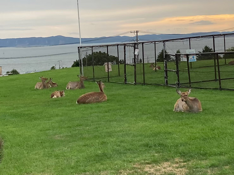 2023年度 北海道版 ガチャピンズラリー達成者