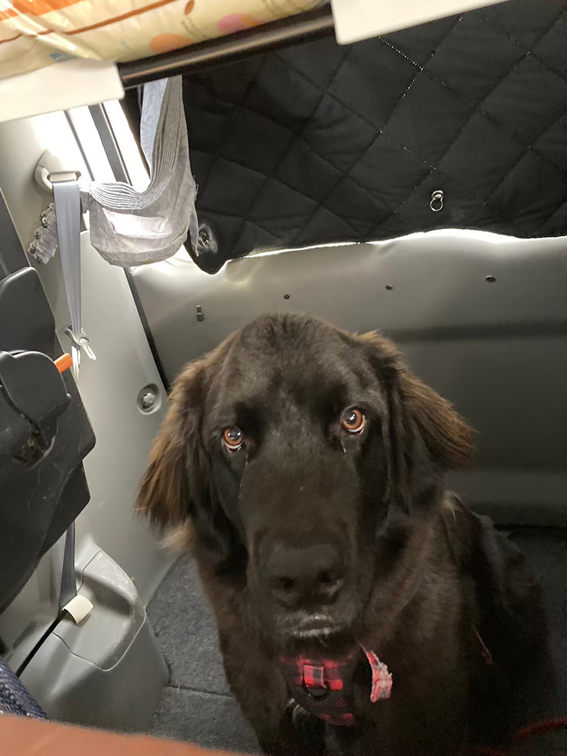 2023年度 北海道版 ガチャピンズラリー達成者