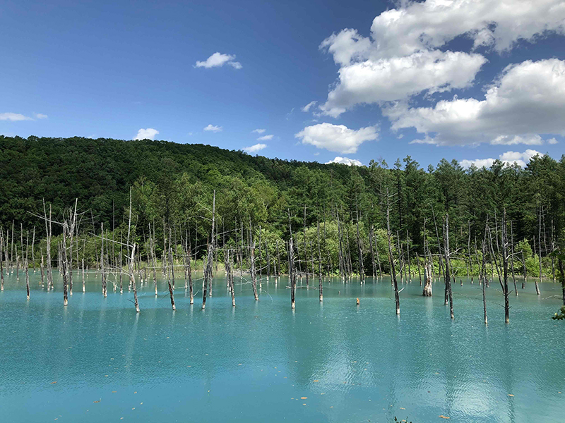 2023年度 北海道版 ガチャピンズラリー達成者