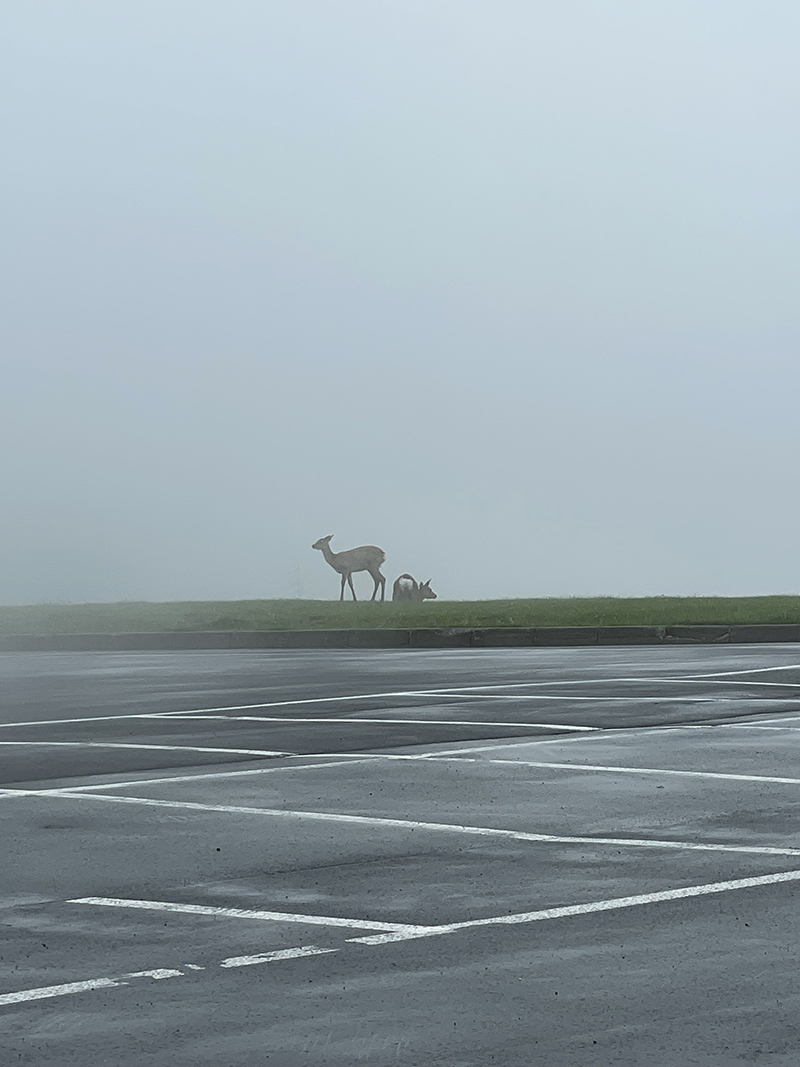 2023年度 北海道版 ガチャピンズラリー達成者