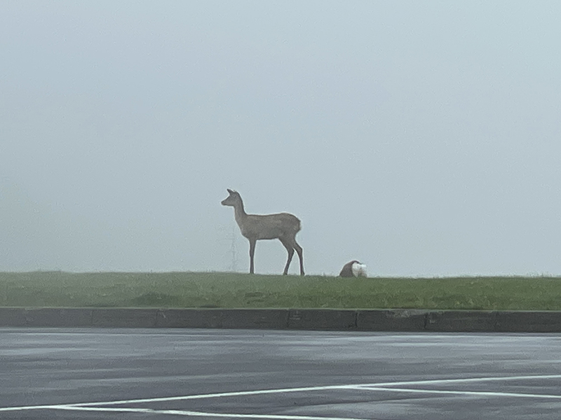 2023年度 北海道版 ガチャピンズラリー達成者