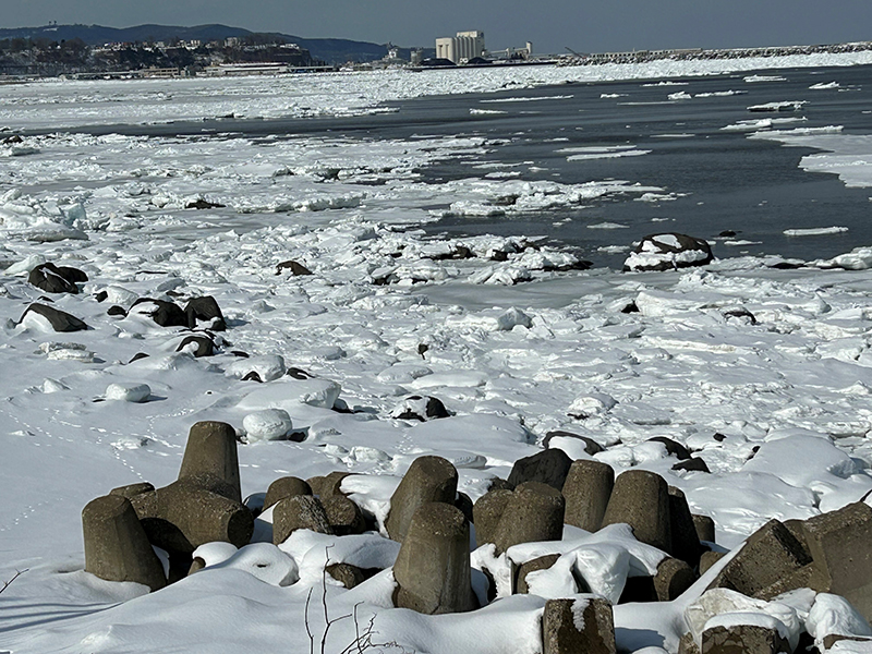 2023年度 北海道版 ガチャピンズラリー達成者