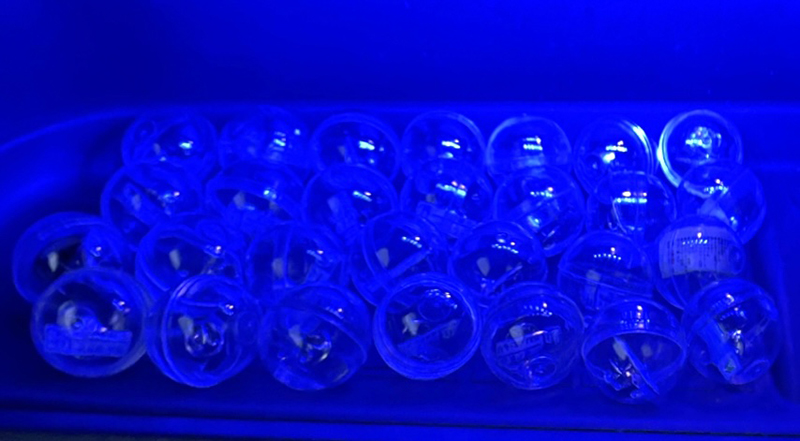 2023年度 北海道版 ガチャピンズラリー達成者