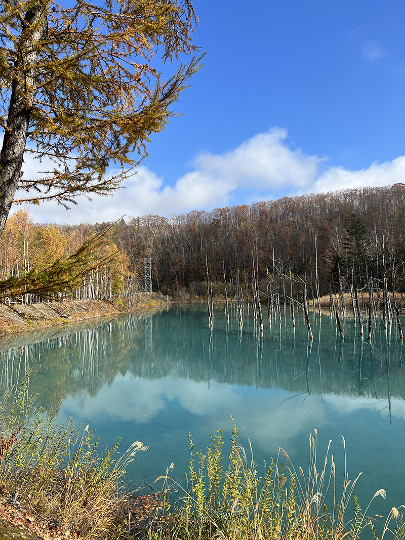 2023年度 北海道版 ガチャピンズラリー達成者