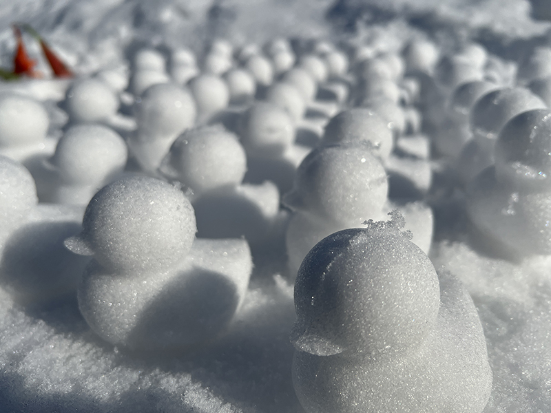 2023年度 北海道版 ガチャピンズラリー達成者