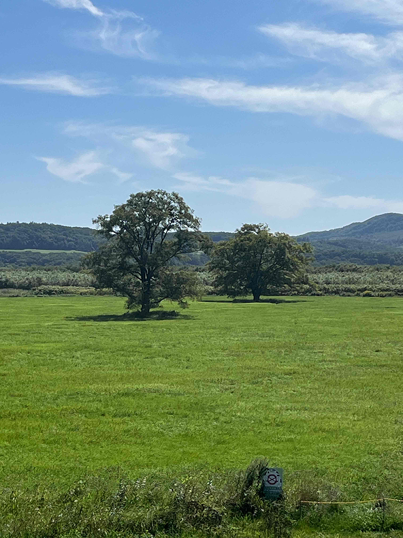 2023年度 北海道版 ガチャピンズラリー達成者