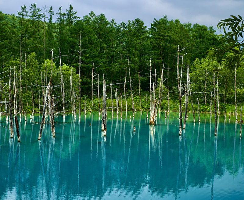 2023年度 北海道版 ガチャピンズラリー達成者