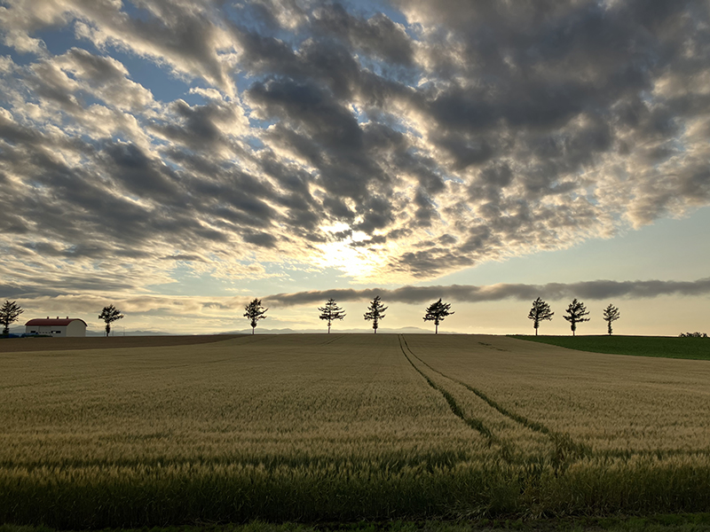 2023年度 北海道版 ガチャピンズラリー達成者