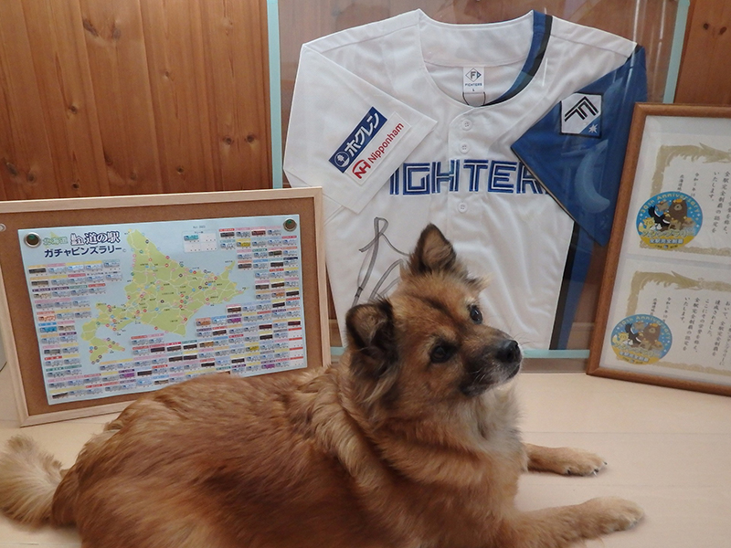 2023年度 北海道版 ガチャピンズラリー達成者