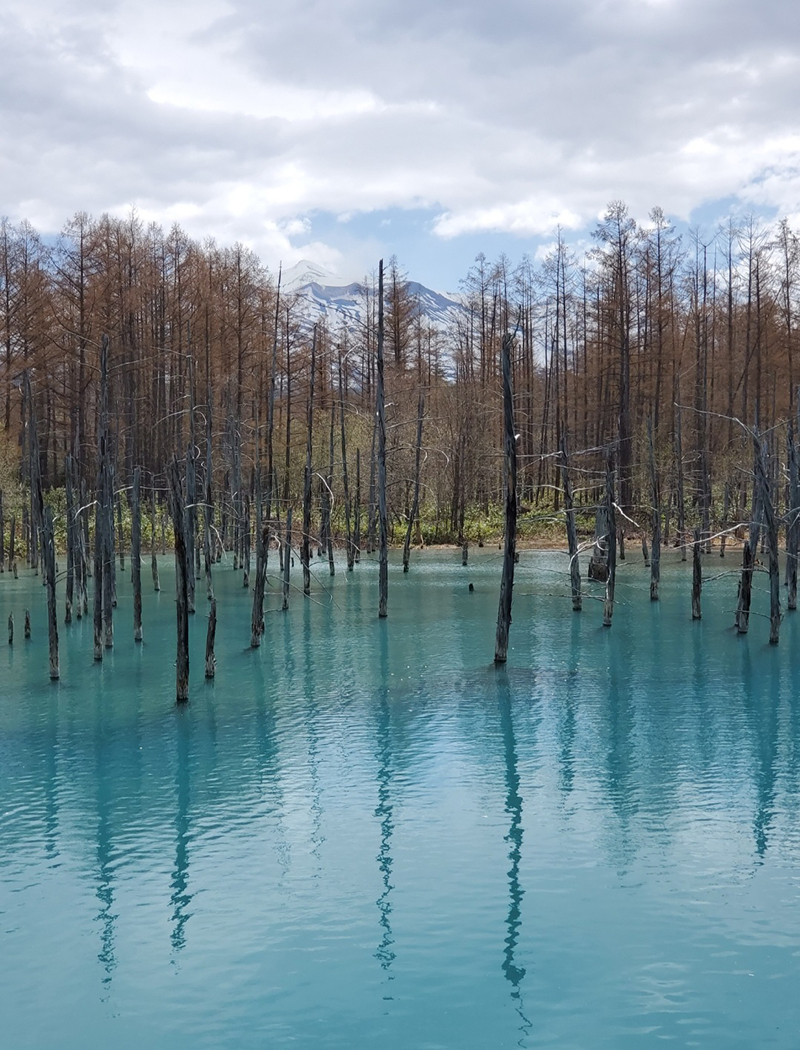 2023年度 北海道版 ガチャピンズラリー達成者