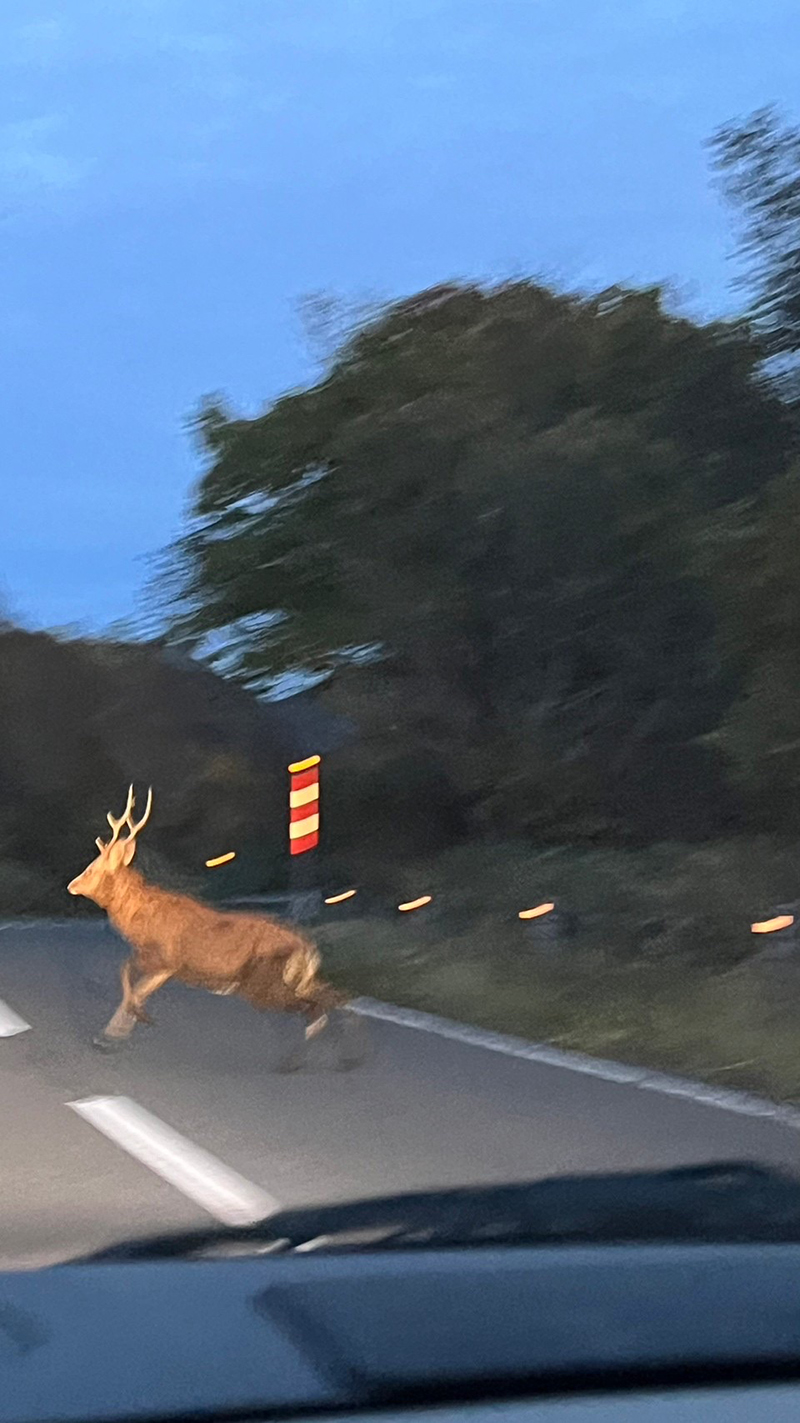 2023年度 北海道版 ガチャピンズラリー達成者