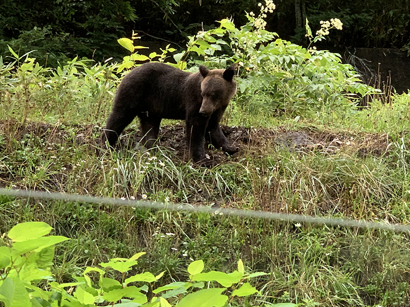 2023年度 北海道版 ガチャピンズラリー達成者