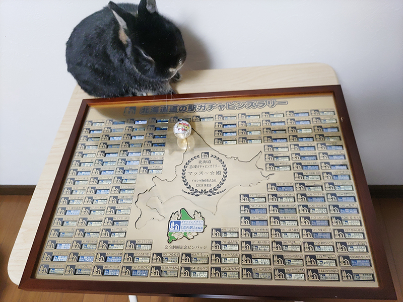 2024年度 北海道版 ガチャピンズラリー達成者