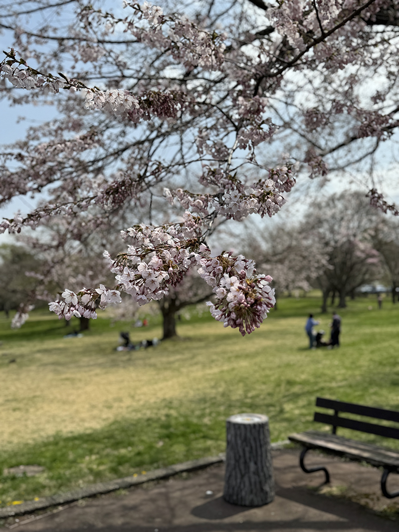 2024年度 北海道版 ガチャピンズラリー達成者