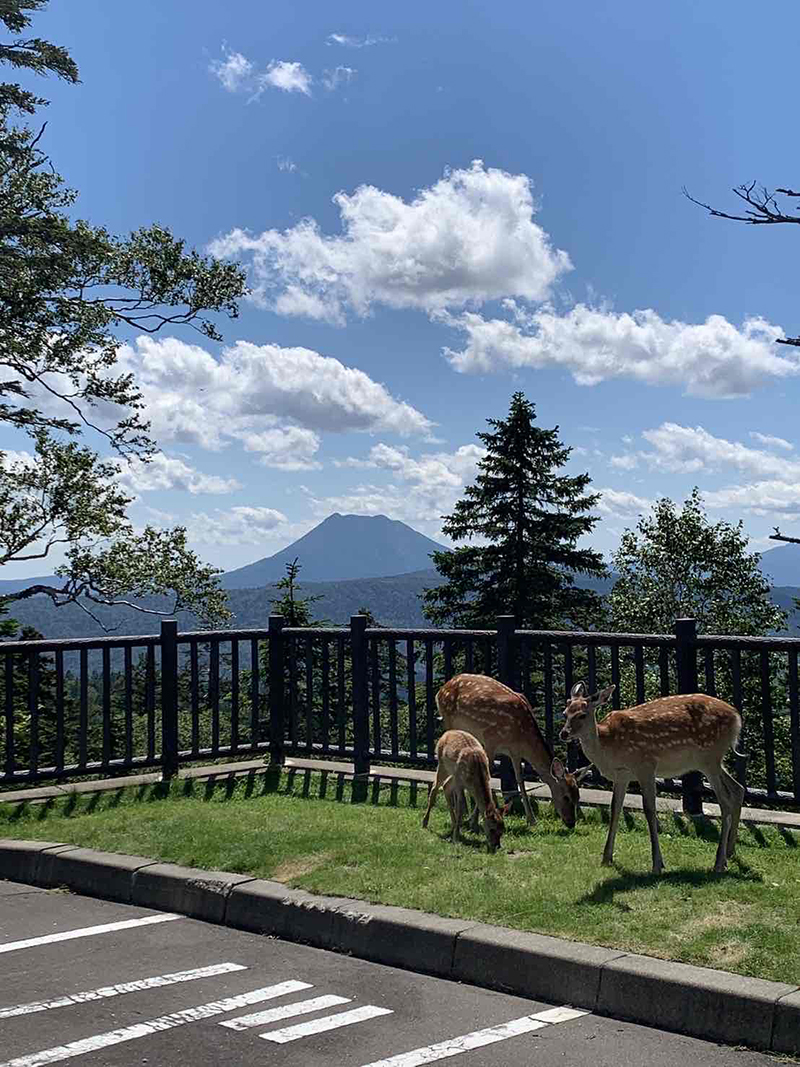 2024年度 北海道版 ガチャピンズラリー達成者