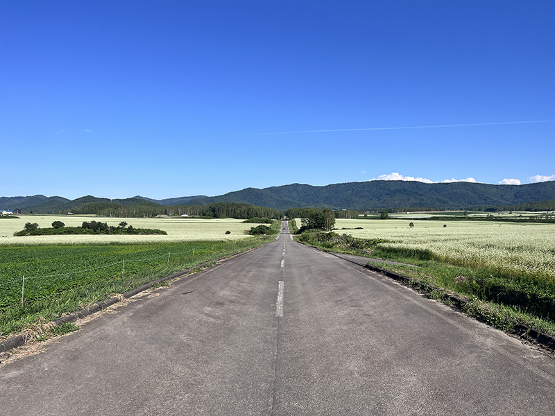 2024年度 北海道版 ガチャピンズラリー達成者