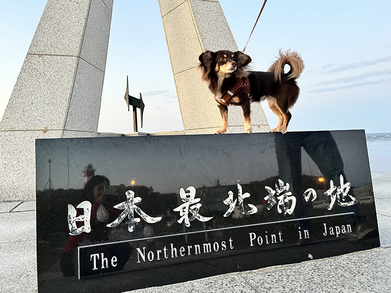 2024年度 北海道版 ガチャピンズラリー達成者