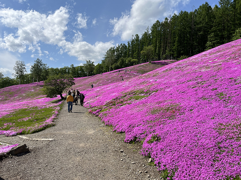 2024年度 北海道版 ガチャピンズラリー達成者