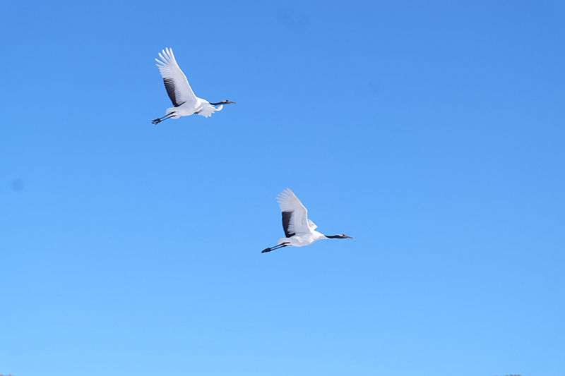 2024年度 北海道版 ガチャピンズラリー達成者