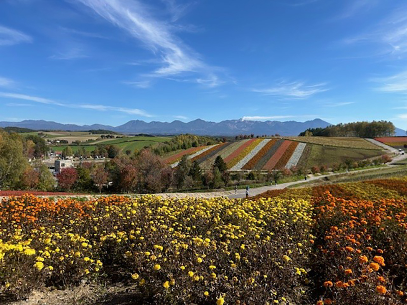 2024年度 北海道版 ガチャピンズラリー達成者