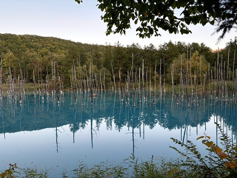 2024年度 北海道版 ガチャピンズラリー達成者