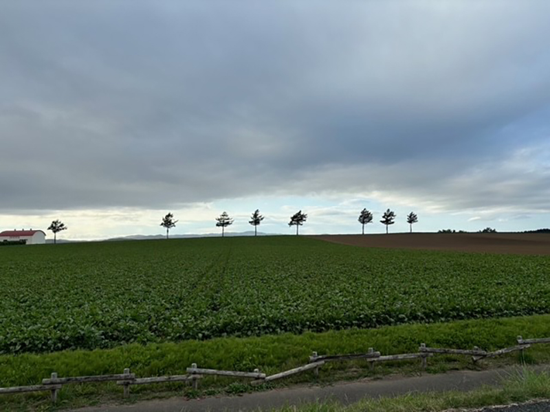2024年度 北海道版 ガチャピンズラリー達成者