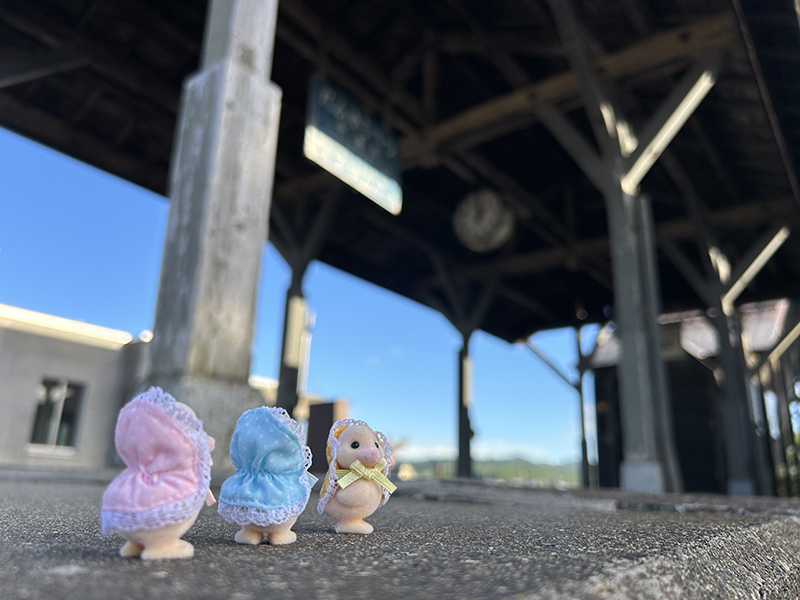 2024年度 北海道版 ガチャピンズラリー達成者