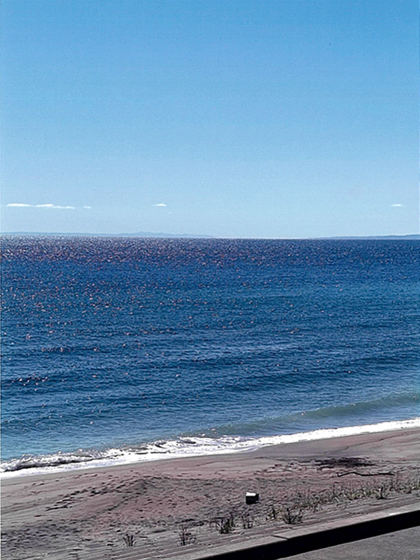 2024年度 北海道版 ガチャピンズラリー達成者