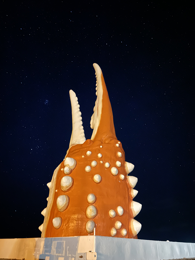 2024年度 北海道版 ガチャピンズラリー達成者