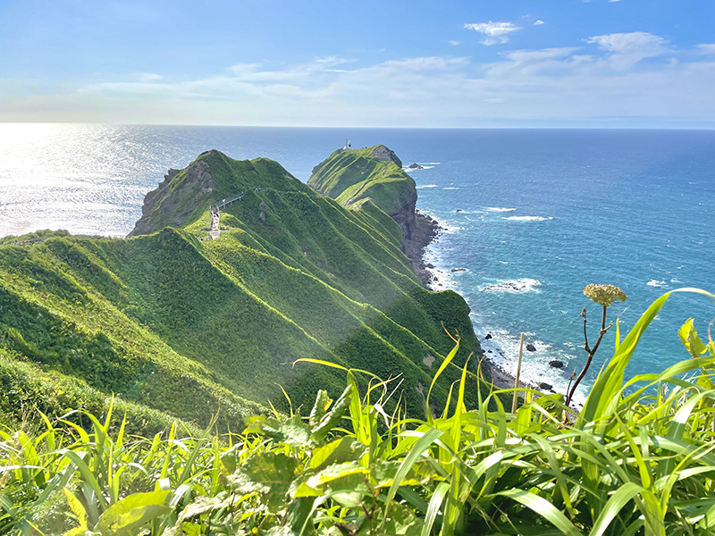 2024年度 北海道版 ガチャピンズラリー達成者