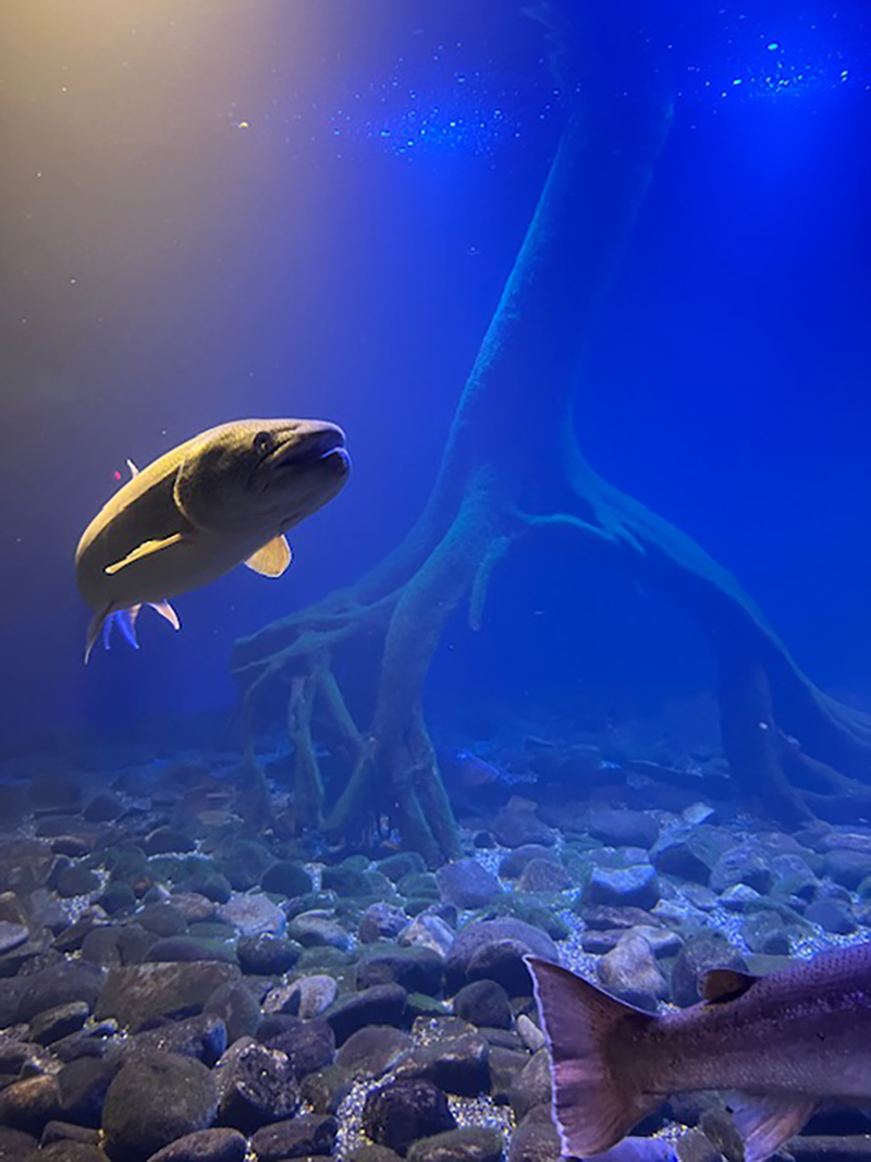 2024年度 北海道版 ガチャピンズラリー達成者