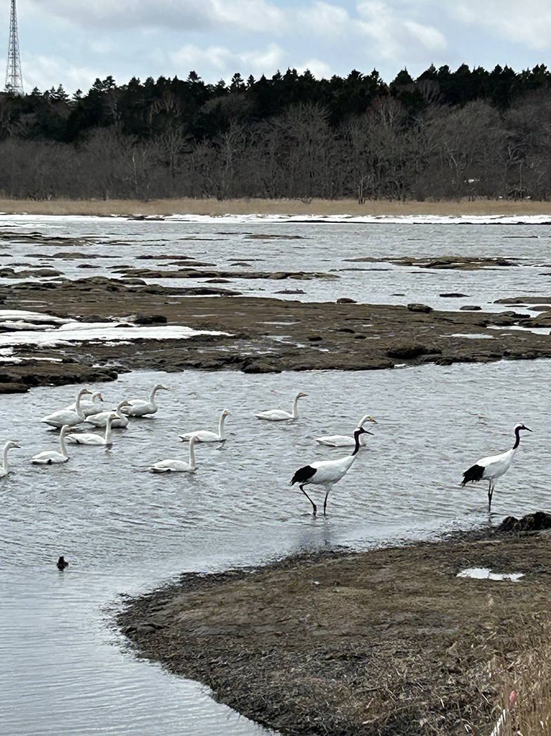 2024年度 北海道版 ガチャピンズラリー達成者