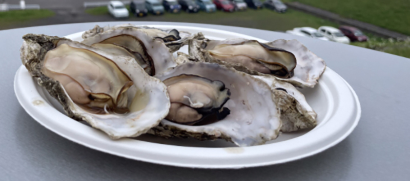 2024年度 北海道版 ガチャピンズラリー達成者