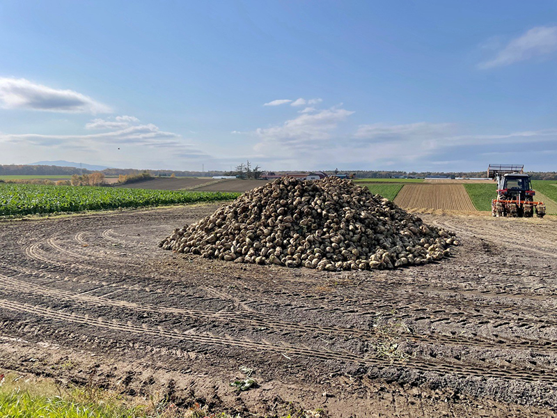 2024年度 北海道版 ガチャピンズラリー達成者