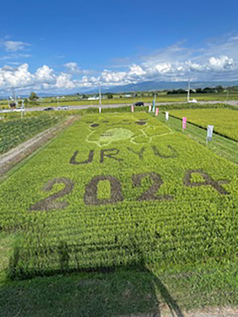 2024年度 北海道版 ガチャピンズラリー達成者