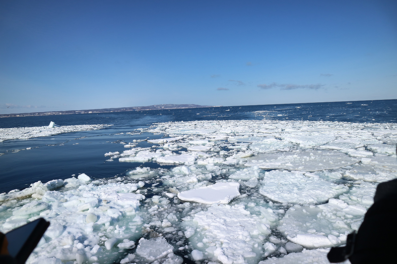 2024年度 北海道版 ガチャピンズラリー達成者