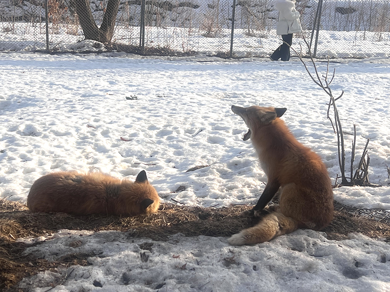 2024年度 北海道版 ガチャピンズラリー達成者