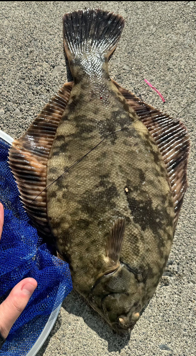 2024年度 北海道版 ガチャピンズラリー達成者