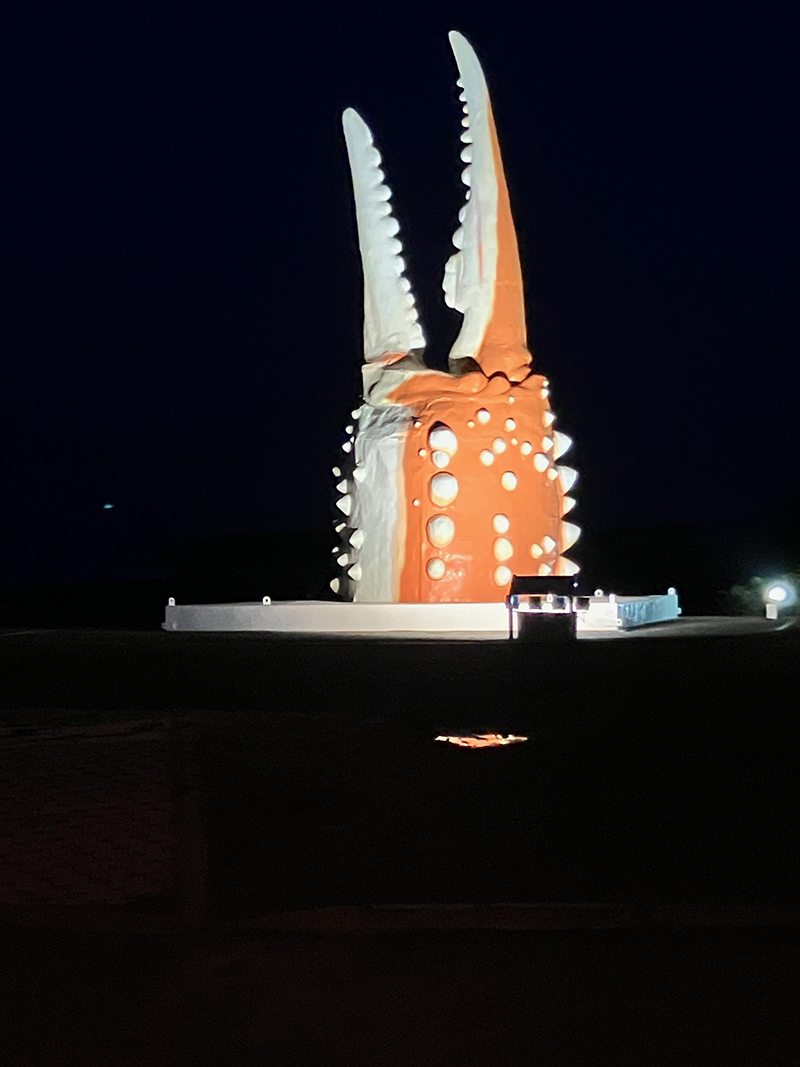 2025年度 北海道版 ガチャピンズラリー達成者