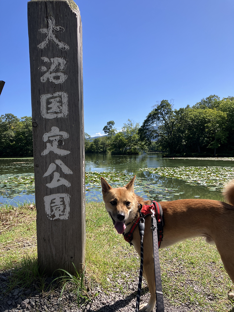 2025年度 北海道版 ガチャピンズラリー達成者