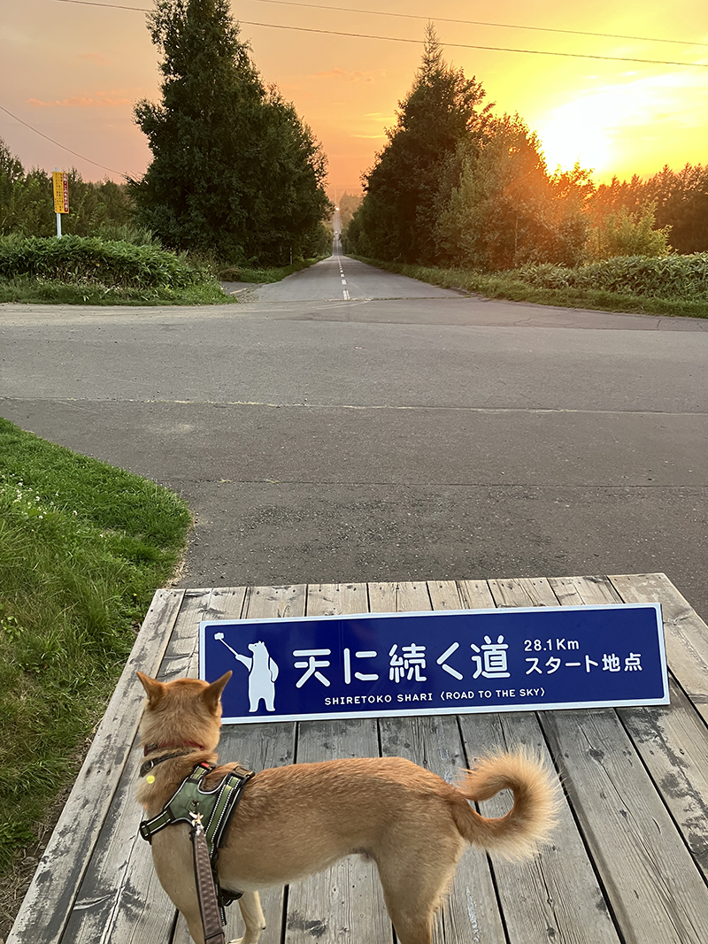 2025年度 北海道版 ガチャピンズラリー達成者