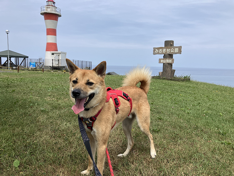 2025年度 北海道版 ガチャピンズラリー達成者