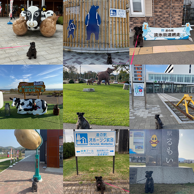 2025年度 北海道版 ガチャピンズラリー達成者