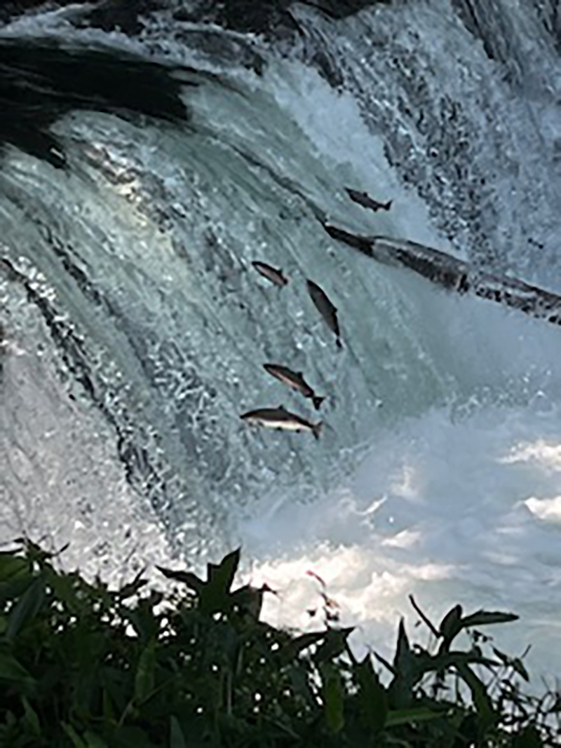 2025年度 北海道版 ガチャピンズラリー達成者