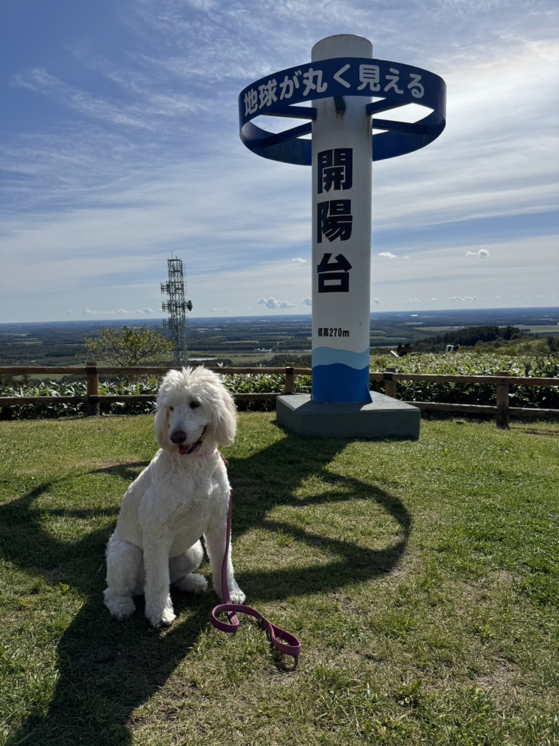 2025年度 北海道版 ガチャピンズラリー達成者