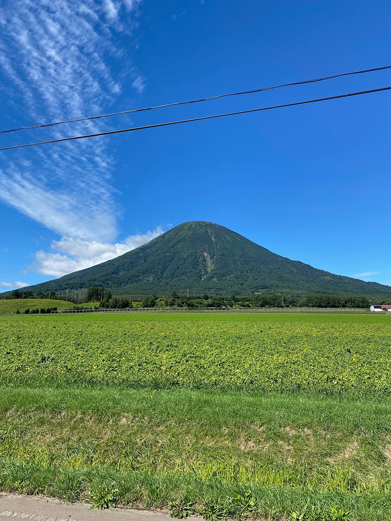 2025年度 北海道版 ガチャピンズラリー達成者