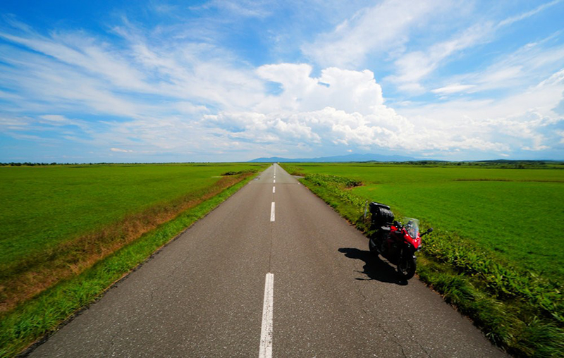 2025年度 北海道版 ガチャピンズラリー達成者