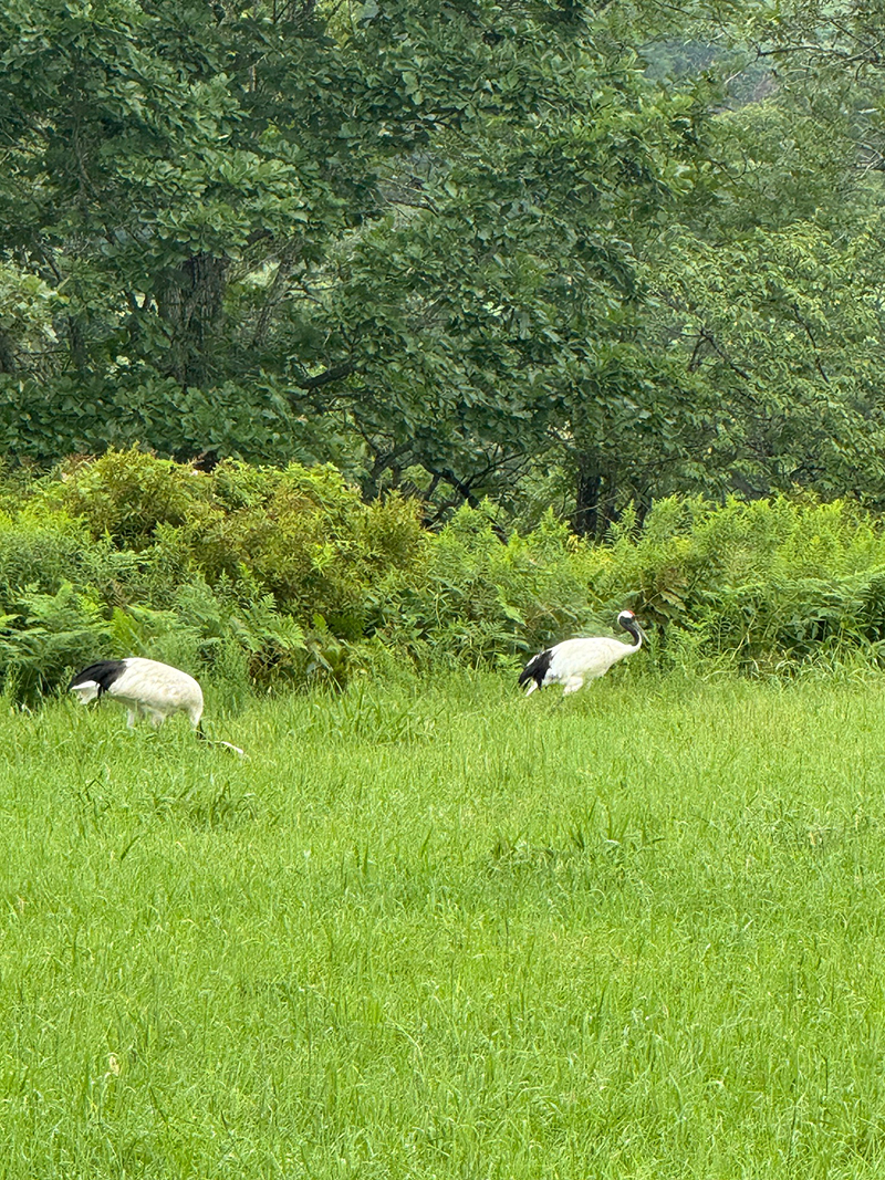 2025年度 北海道版 ガチャピンズラリー達成者