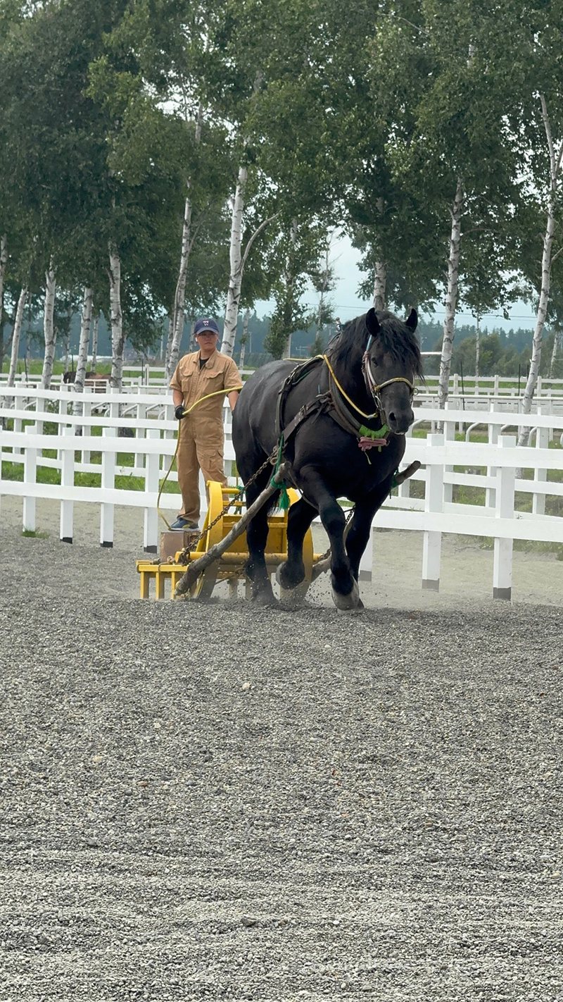 2025年度 北海道版 ガチャピンズラリー達成者